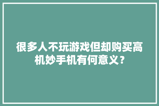 很多人不玩游戏但却购买高机妙手机有何意义？