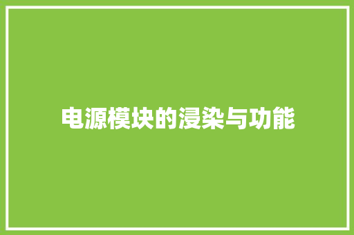 电源模块的浸染与功能