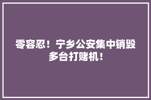 零容忍！宁乡公安集中销毁多台打赌机！