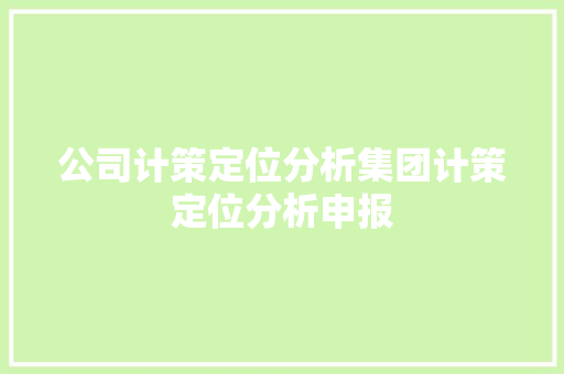 公司计策定位分析集团计策定位分析申报