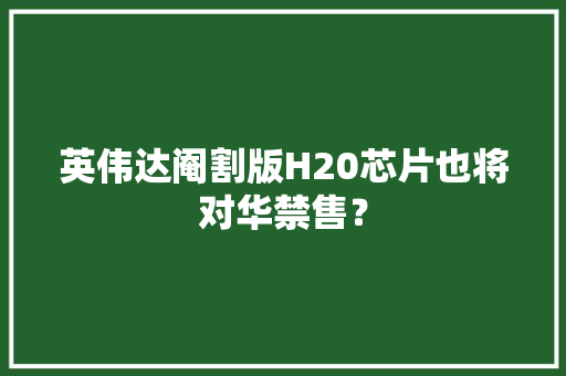 英伟达阉割版H20芯片也将对华禁售？