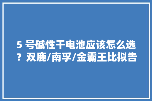 5 号碱性干电池应该怎么选？双鹿/南孚/金霸王比拟告诉你