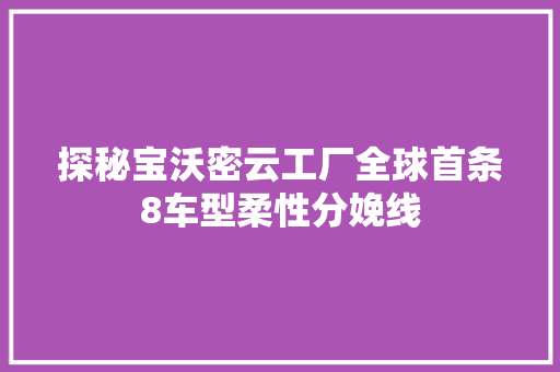 探秘宝沃密云工厂全球首条8车型柔性分娩线