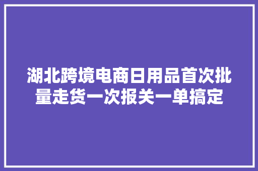 湖北跨境电商日用品首次批量走货一次报关一单搞定