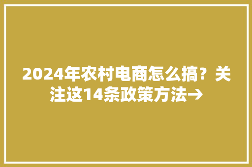 2024年农村电商怎么搞？关注这14条政策方法→