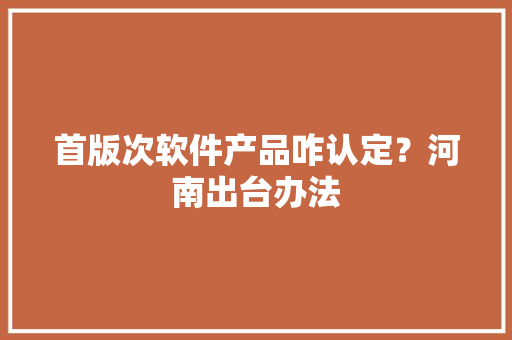 首版次软件产品咋认定？河南出台办法