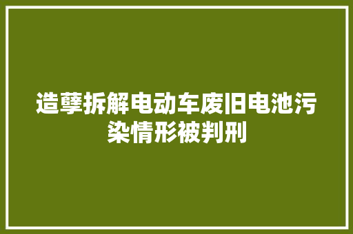 造孽拆解电动车废旧电池污染情形被判刑