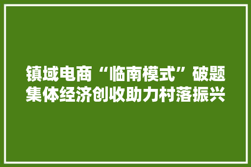 镇域电商“临南模式”破题集体经济创收助力村落振兴