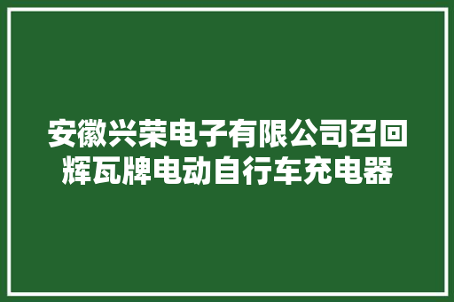 安徽兴荣电子有限公司召回辉瓦牌电动自行车充电器