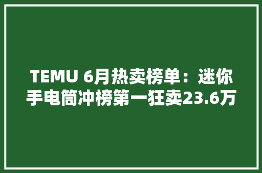 TEMU 6月热卖榜单：迷你手电筒冲榜第一狂卖23.6万个