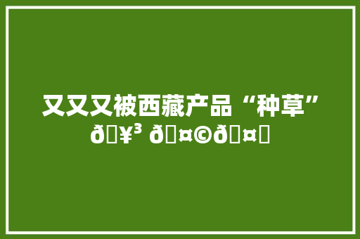 又又又被西藏产品“种草”🥳 🤩🤙