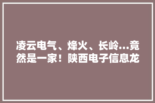 凌云电气、烽火、长岭…竟然是一家！陕西电子信息龙头你知道吗？