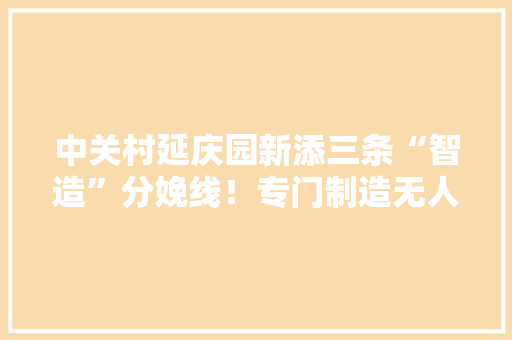 中关村延庆园新添三条“智造”分娩线！专门制造无人机