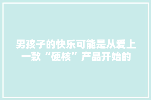 男孩子的快乐可能是从爱上一款“硬核”产品开始的