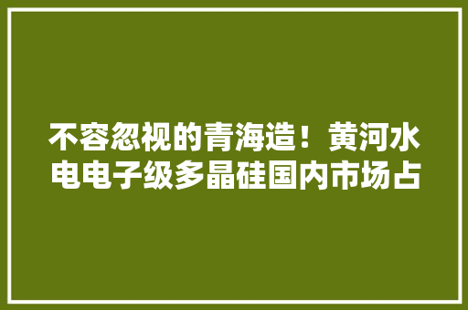 不容忽视的青海造！黄河水电电子级多晶硅国内市场占据率达15%