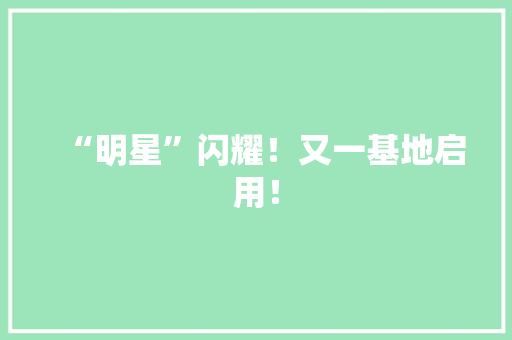“明星”闪耀！又一基地启用！ “明星”闪耀！又一基地启用！ 智能家居