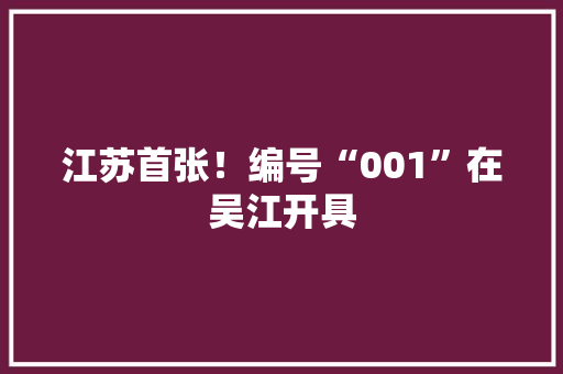 江苏首张！编号“001”在吴江开具 江苏首张！编号“001”在吴江开具 互联通信