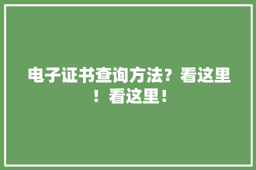 电子证书查询方法？看这里！看这里！