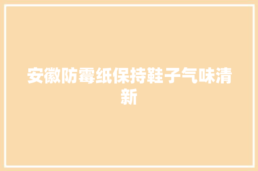 安徽防霉纸保持鞋子气味清新