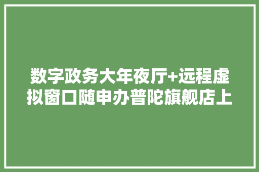数字政务大年夜厅+远程虚拟窗口随申办普陀旗舰店上线新功能！