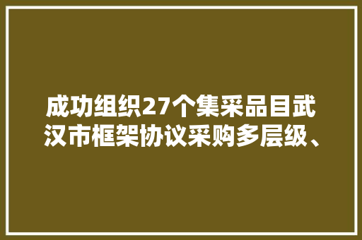 成功组织27个集采品目武汉市框架协议采购多层级、多类型周全铺开