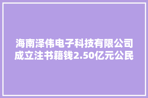 海南泽伟电子科技有限公司成立注书籍钱2.50亿元公民币 海南泽伟电子科技有限公司成立注书籍钱2.50亿元公民币 智能家居