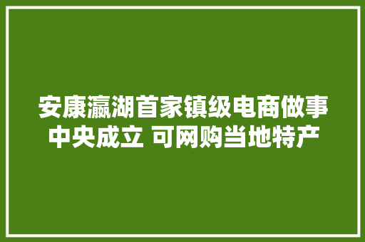 安康瀛湖首家镇级电商做事中央成立 可网购当地特产