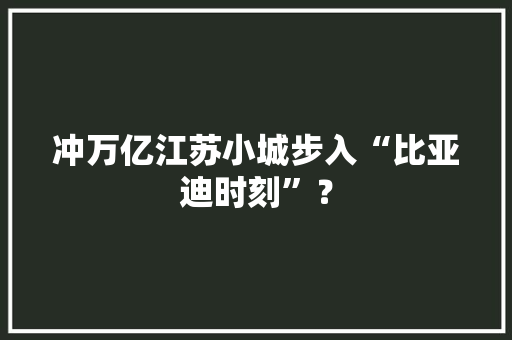 冲万亿江苏小城步入“比亚迪时刻”？