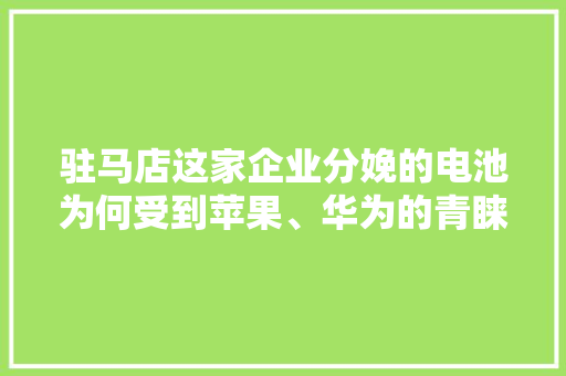 驻马店这家企业分娩的电池为何受到苹果、华为的青睐？