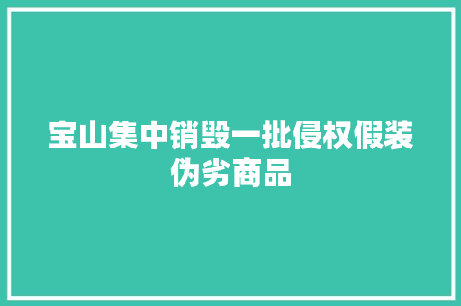 宝山集中销毁一批侵权假装伪劣商品