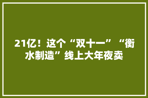 21亿！这个“双十一”“衡水制造”线上大年夜卖