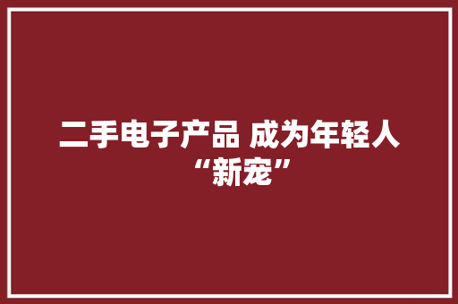 二手电子产品 成为年轻人“新宠”
