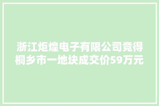 浙江炬煌电子有限公司竞得桐乡市一地块成交价59万元