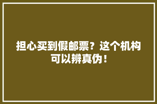 担心买到假邮票？这个机构可以辨真伪！