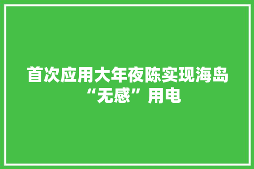 首次应用大年夜陈实现海岛“无感”用电