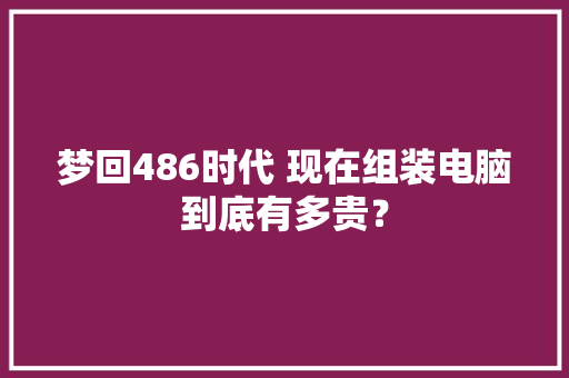 梦回486时代 现在组装电脑到底有多贵？