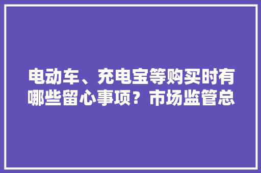 电动车、充电宝等购买时有哪些留心事项？市场监管总局手把手教你→