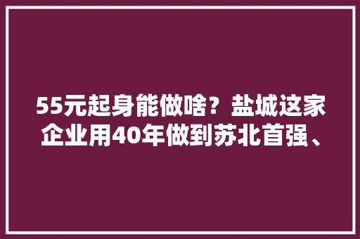 55元起身能做啥？盐城这家企业用40年做到苏北首强、利税百亿……