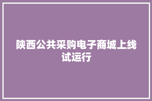 陕西公共采购电子商城上线试运行