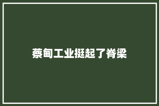 蔡甸工业挺起了脊梁