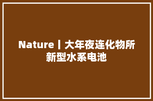 Nature丨大年夜连化物所新型水系电池