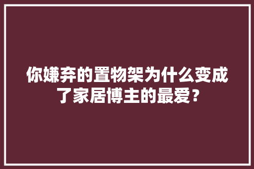 你嫌弃的置物架为什么变成了家居博主的最爱？ 你嫌弃的置物架为什么变成了家居博主的最爱？ 智能家居
