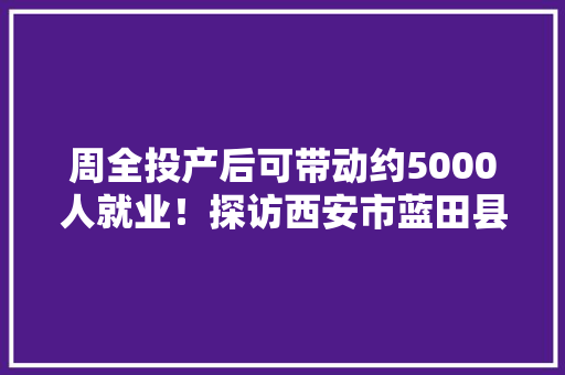 周全投产后可带动约5000人就业！探访西安市蓝田县三元科技家当园项目