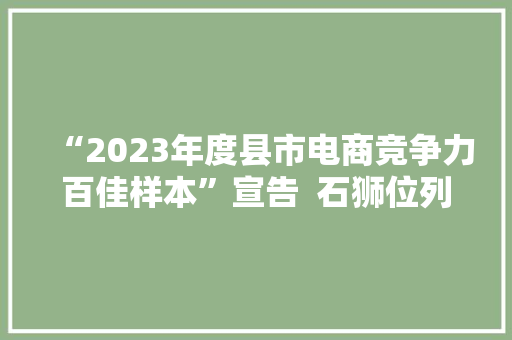 “2023年度县市电商竞争力百佳样本”宣告  石狮位列第二