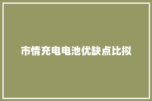 市情充电电池优缺点比拟 市情充电电池优缺点比拟 智能科技