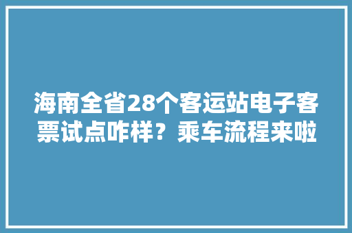 海南全省28个客运站电子客票试点咋样？乘车流程来啦→