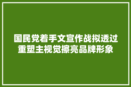 国民党着手文宣作战拟透过重塑主视觉擦亮品牌形象