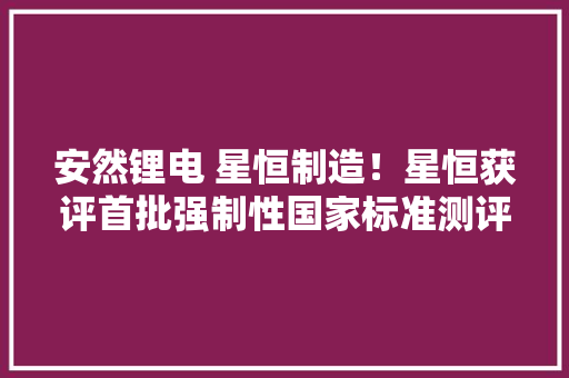 安然锂电 星恒制造！星恒获评首批强制性国家标准测评经由进程企业