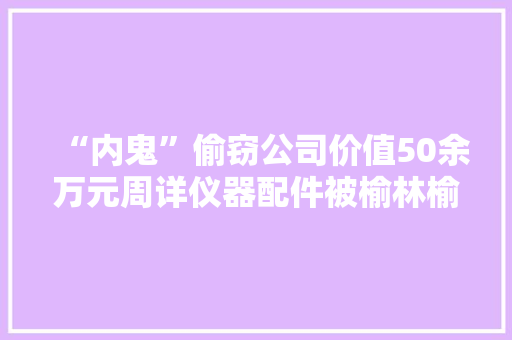 “内鬼”偷窃公司价值50余万元周详仪器配件被榆林榆阳警方抓获