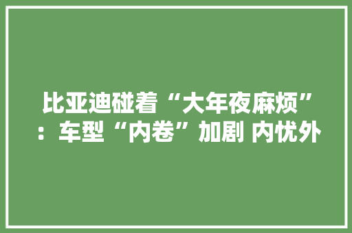 比亚迪碰着“大年夜麻烦”：车型“内卷”加剧 内忧外患下插混销量占比逐月下降